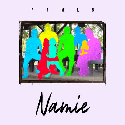 Namie Front Cover
