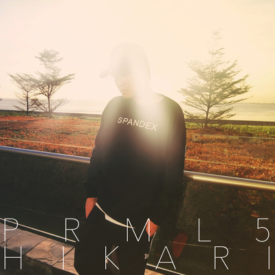 The Light Front Cover