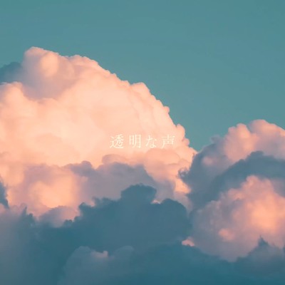 invisible voice Front Cover