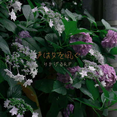 声は夕を凪ぐ (feat. 初音ミク)のジャケット写真