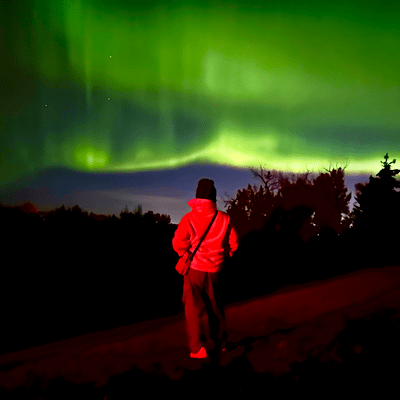 煌めく星になってのジャケット写真