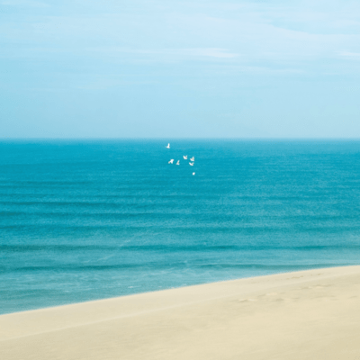 early heavenly blue Front Cover