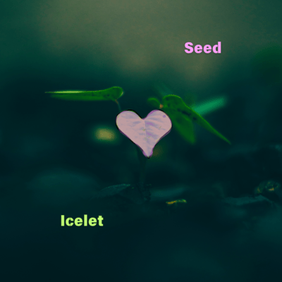 Seed Front Cover