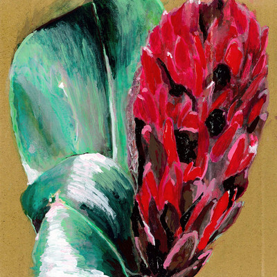 Hananoen Front Cover