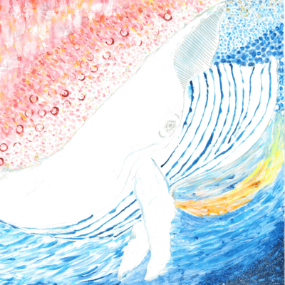 Blue Front Cover