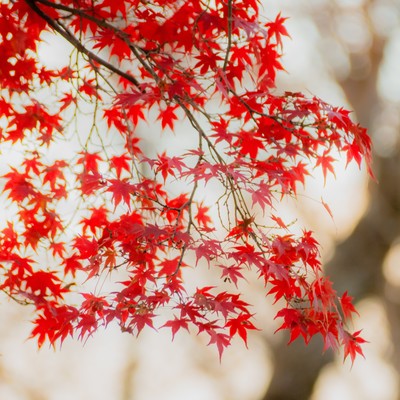 Mutual Love Front Cover