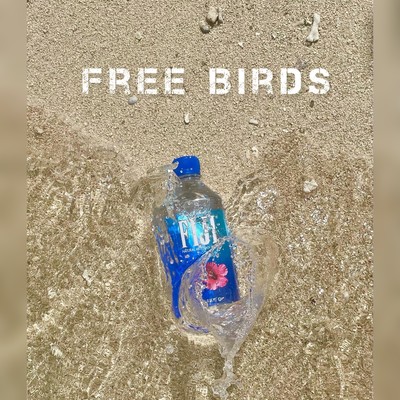 FREE BIRDS Front Cover