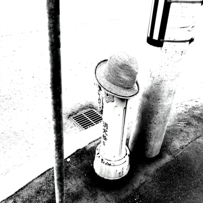 ポケットのジャケット写真