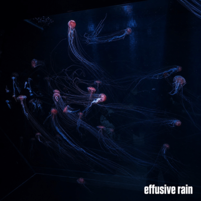 effusive rain Front Cover