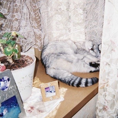 high days are lonely Front Cover