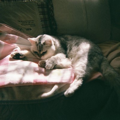 sunset or sunriseのジャケット写真