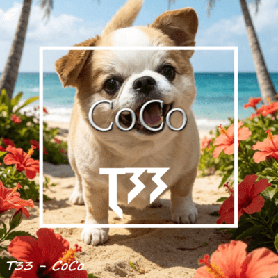 CoCo Front Cover
