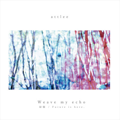 Weave my echo Front Cover