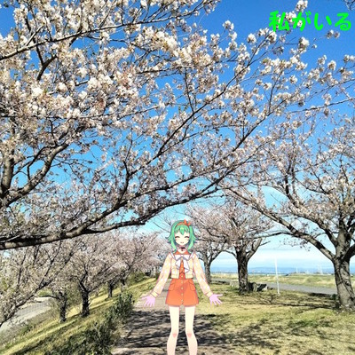 私がいるのジャケット写真