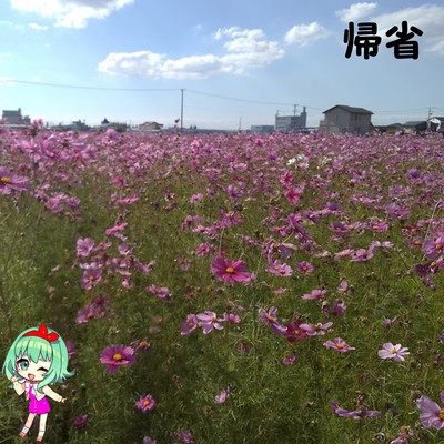 帰省のジャケット写真