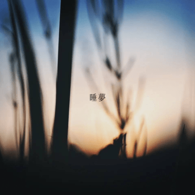 睡夢 (feat. Curability)のジャケット写真