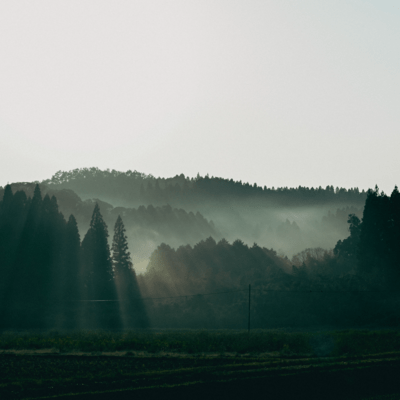 Aki no kaze Front Cover