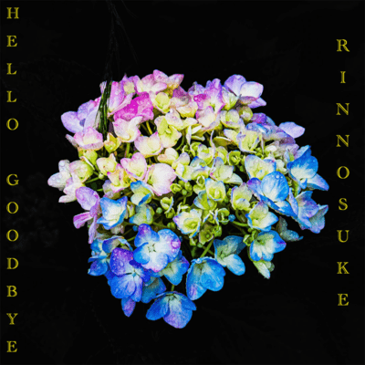 Hello, Goodbye Front Cover