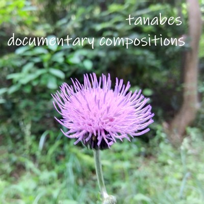 documentary compositionsのジャケット写真