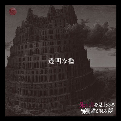 toumeina ori Front Cover