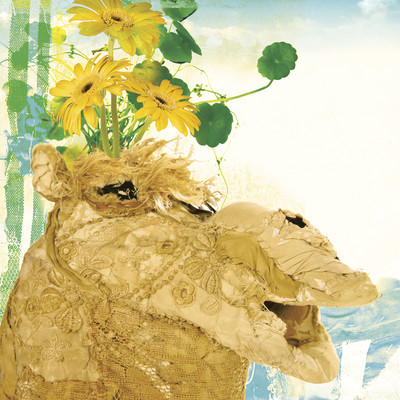 Hana Ga Yoku Niau Front Cover