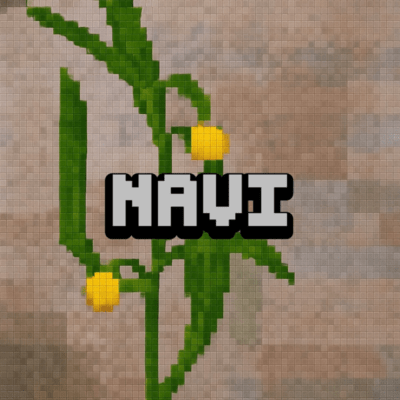 Navi Front Cover