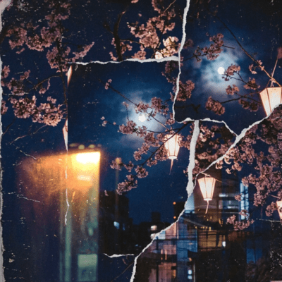 Sakura Night Front Cover