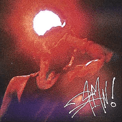 D4MN! Front Cover
