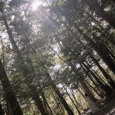 狭間のジャケット写真