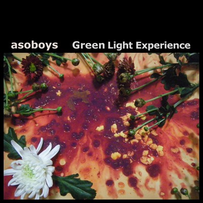 Green Light Experience Front Cover