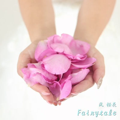 Fairytaleのジャケット写真