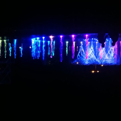 Reversed Front Cover