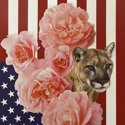 America Front Cover