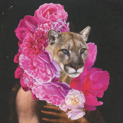 Justice Front Cover