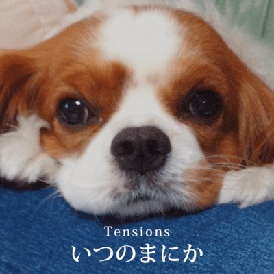 いつのまにかのジャケット写真