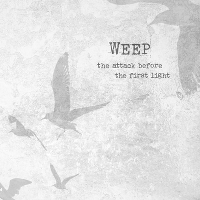 The Attack Before the First Light Front Cover