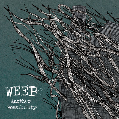 Another Possibility Front Cover