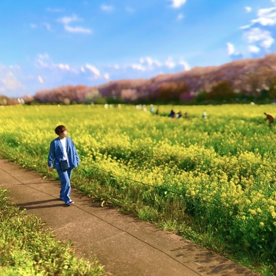 Goodbye. Front Cover