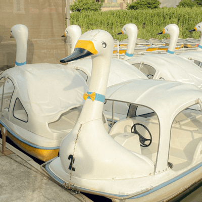 Summer Freeze Front Cover