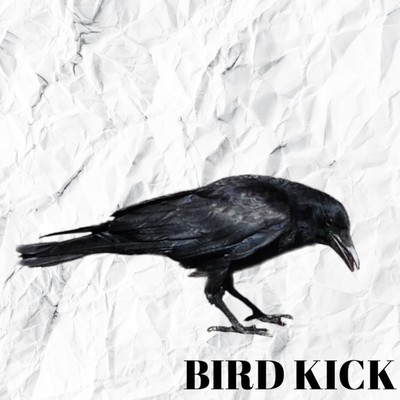 BIRD KICK Front Cover