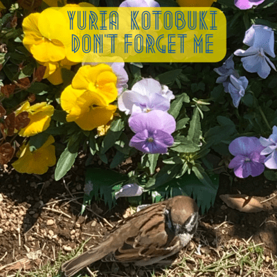 Don't Forget Me Front Cover