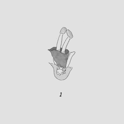 1 Front Cover