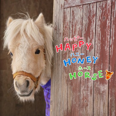HAPPY HONEY HORSEのジャケット写真