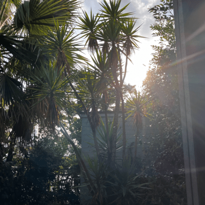 Bring Spring Front Cover