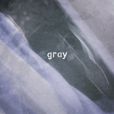gray Front Cover