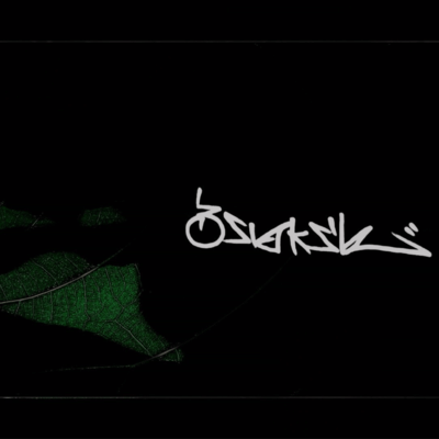 make one's choice Front Cover