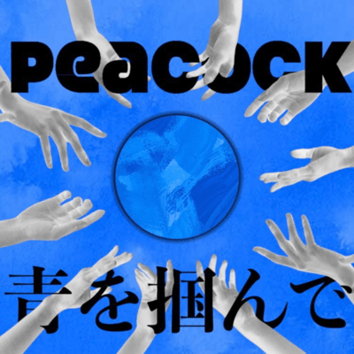 青を掴んでのジャケット写真