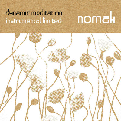 Dynamic Meditation Instrumental Limited Front Cover