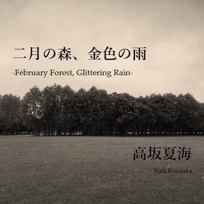 February Forest, Glittering Rain Front Cover