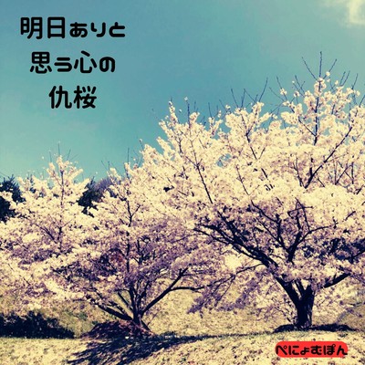 Asuarito omou kokorono adazakura Front Cover